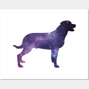 galaxy labrador Posters and Art